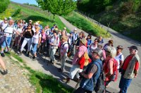 2018 Kaiserstuhl