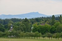 DSC_5305