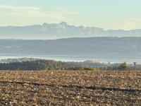 IMG_4962
