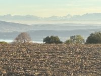 IMG_4963